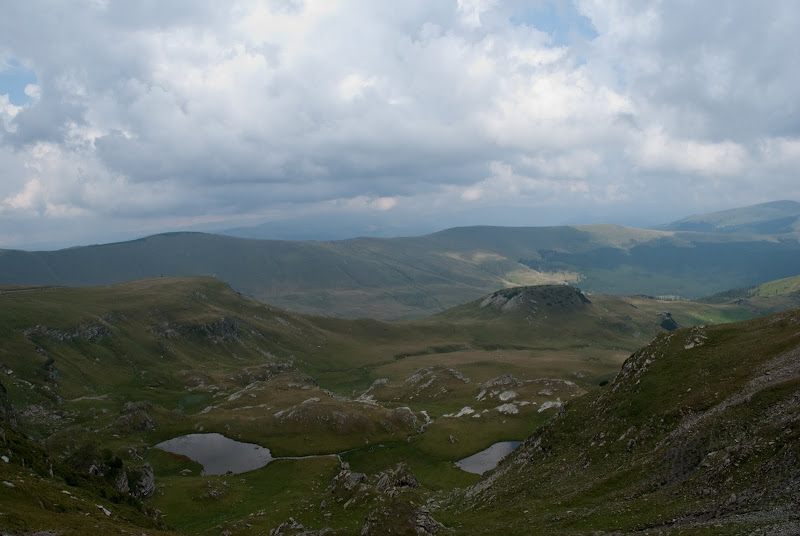 DSC_6797.jpg