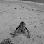 DSCN1329.JPG