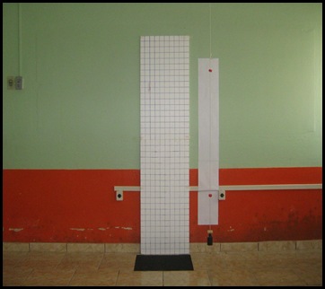 posturógrafo