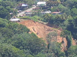indiscriminate cutting of land and trees 