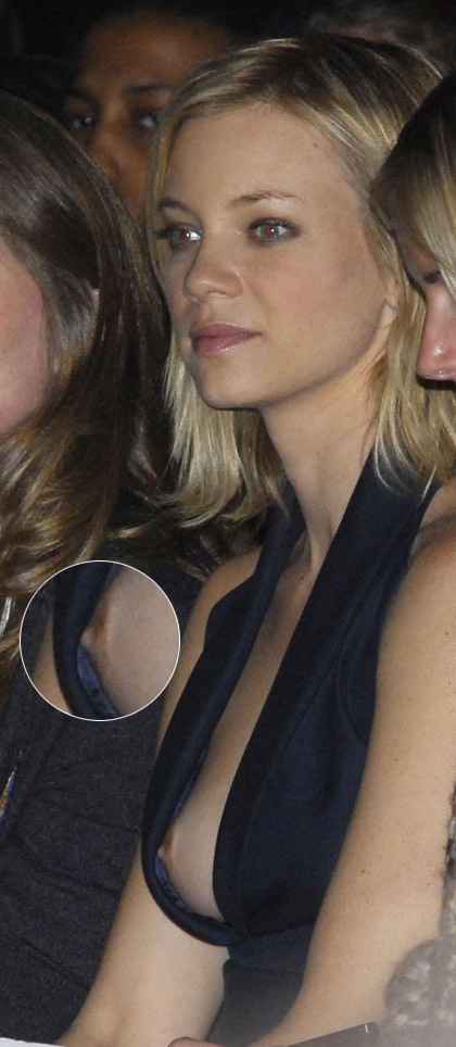 [amy-smart-nipple-slip-02[2].jpg]