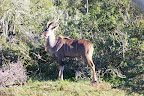 Cape Road Trip 2010 Slideshow