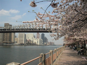 Roosevelt Island around Spring