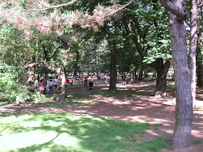 Central Park Central Park