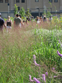 The High Line Park