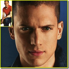 wentworth-miller-tvguide