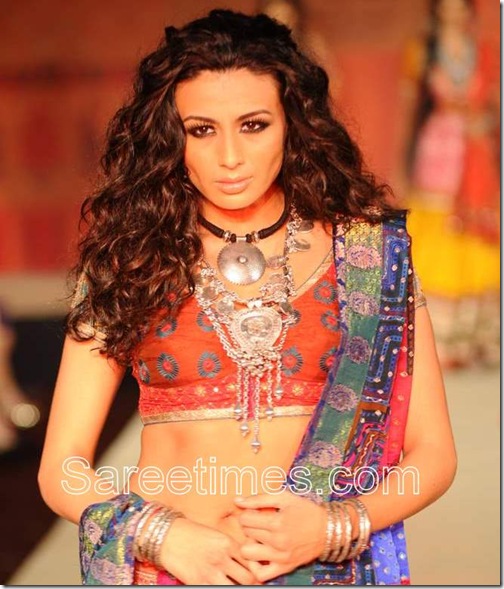 Designer_Saree_Blouse