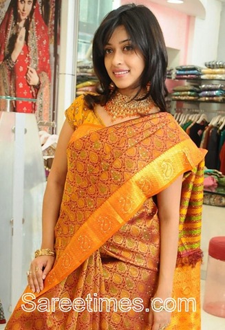 [Payal_Gosh_Traditional_Saree[3].jpg]