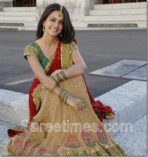 Kriti_Kharbanda_Half_ Saree