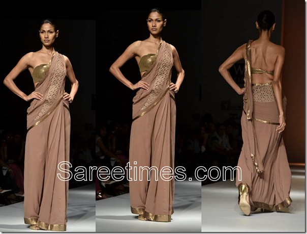 Bhanuni_Tan_Saree