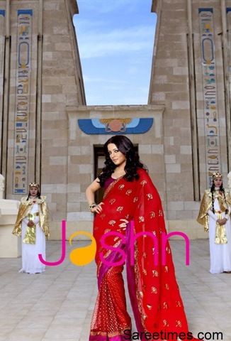 [Celina_Jaitley_Designer_Saree (2)[4].jpg]