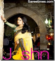 Celina_Jaitley_Designer_Saree (8)