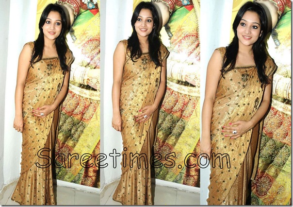Ritu_Barmecha_Gold_Saree