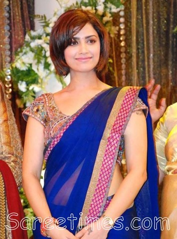 [Mamtha_Mohandas_Blue_Saree[3].jpg]