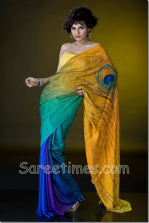 Satyapaul_Peacock_Saree