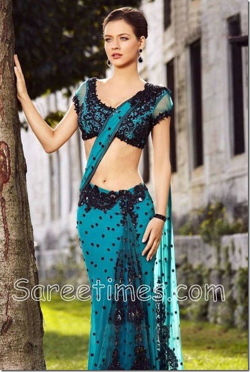 Neha_Dalvi_Georgette_Saree