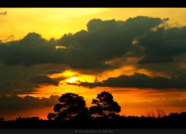 IMG_3682 copy