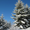 Kychová 2010