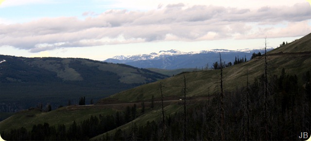 IMG_1679 IMG_1679