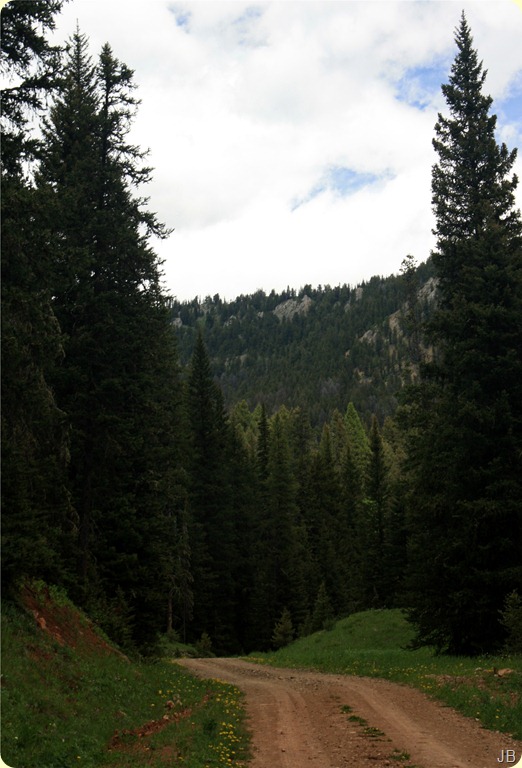 IMG_2276 IMG_2276