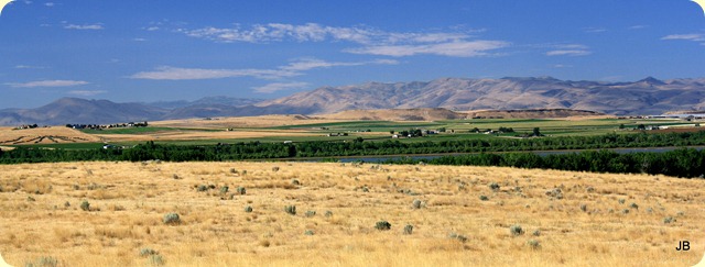 IMG_3866 IMG_3866