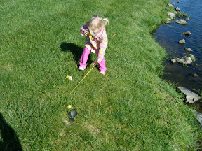 DSCF0560-2011-04-30-20-56.JPG