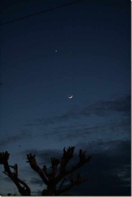 Picture 012