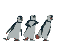 Pinguino-54_thumb
