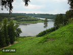 Nemuno kilpa