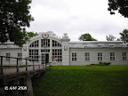 Tulpės gydykla