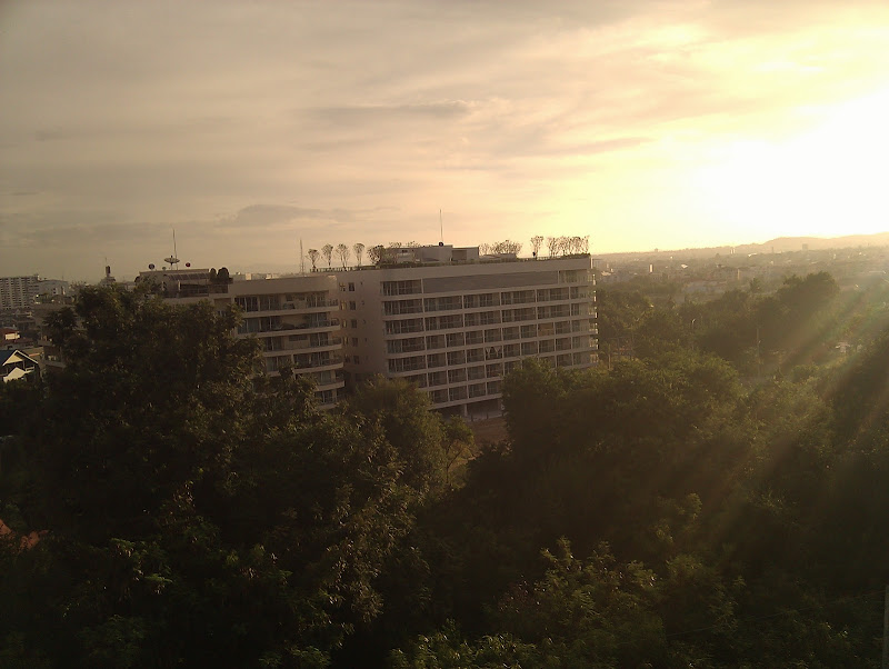 IMG_20101207_070706.jpg