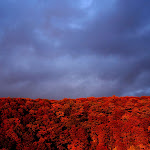 wallpapers-free-downloads.blogspot.com (80).jpg