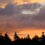 wallpapers-free-downloads.blogspot.com (83).jpg