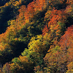wallpapers-free-downloads.blogspot.com (72).jpg