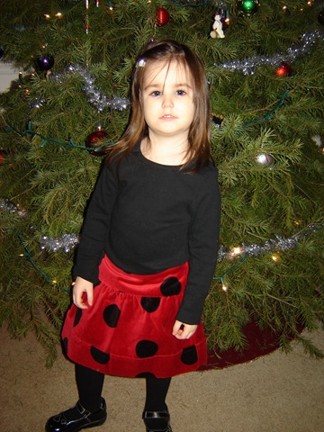[christmas08 097[3].jpg]