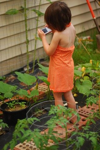 DSC_3788 DSC_3788