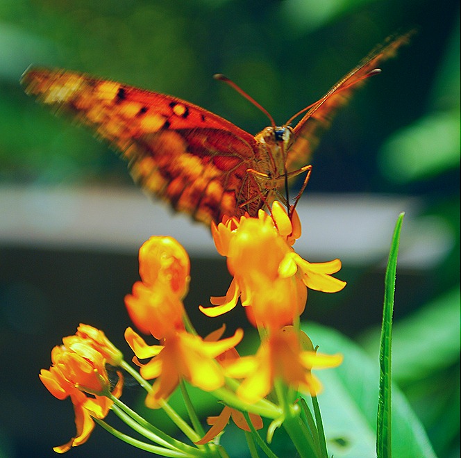 DSC_5134 DSC_5134