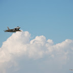 DSC_0410.JPG