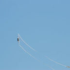 DSC_0060.JPG