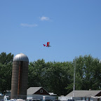 IMG_2031.JPG