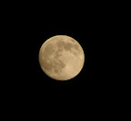 moon1.jpg