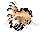Tom Turkey