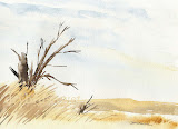 Dunnigan Marsh Limited Edition Print