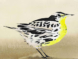 Western Meadowlark Limited Edition Print