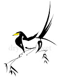 Yellow-billed Magpie