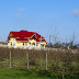DSC01565.JPG, Avant Baia Mare. Là ya des tunes !, Brasov, Tansylvanie. Mars 2008.
