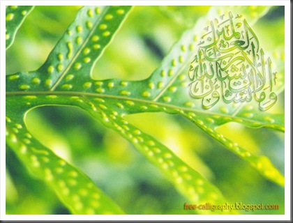 wallpaper islamic. islamic calligraphy wallpaper