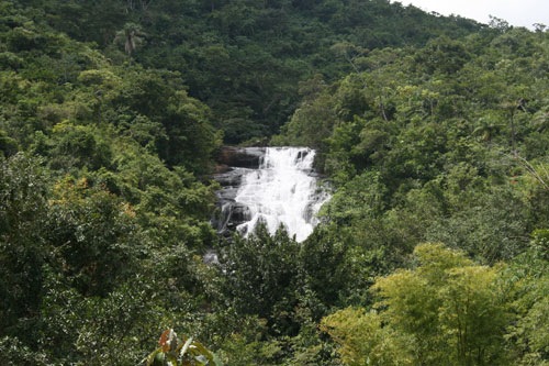 [area-around-falls[4].jpg]