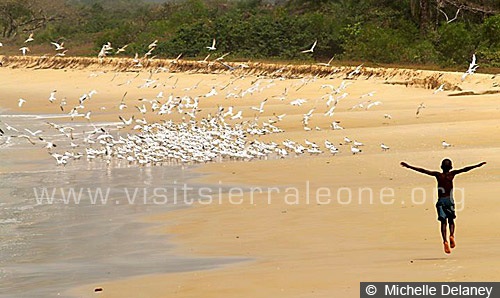 [Bureh-Beach-1[10].jpg]