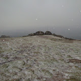 DSC07259.jpg